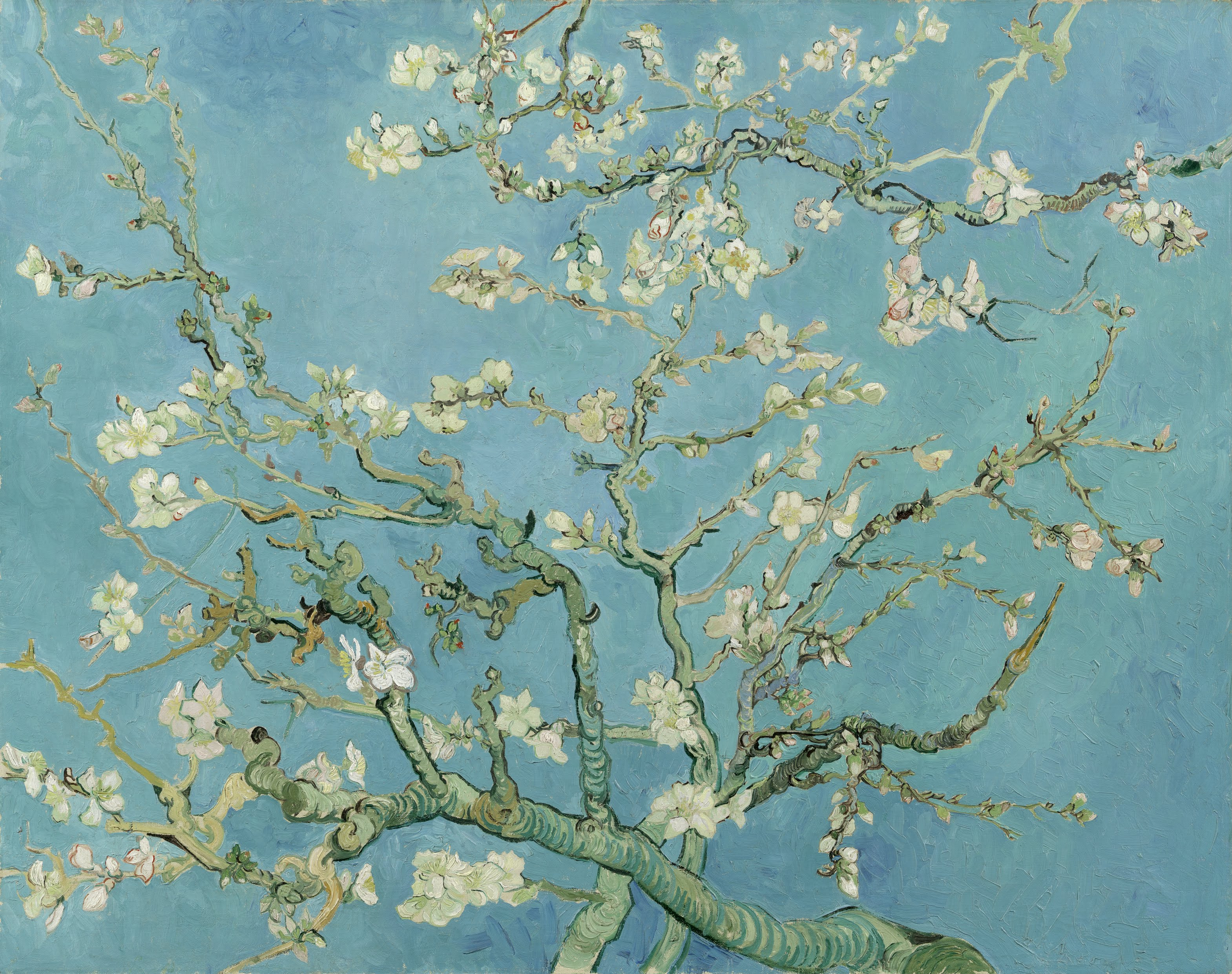 Van Gogh, Almond Blossoms